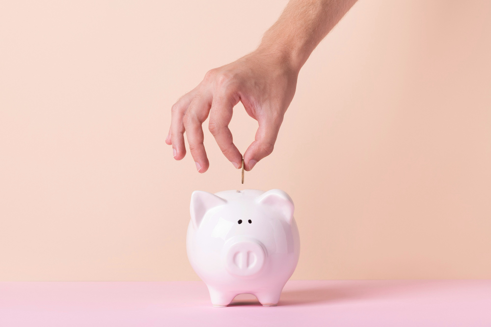 Sparschwein zum Budget sparen